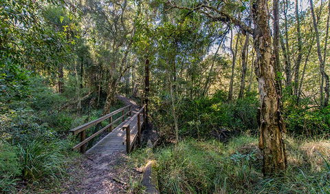 Dawson River Walking Track - Accommodation in Brisbane 1