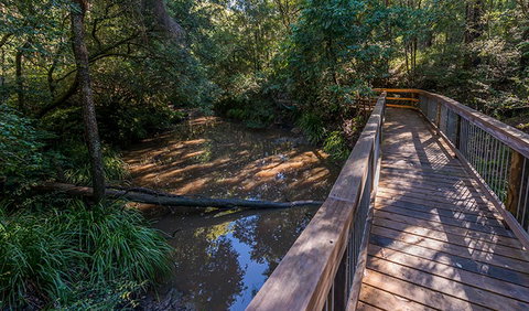 Ms Kellys Walking Track - Accommodation in Brisbane 0
