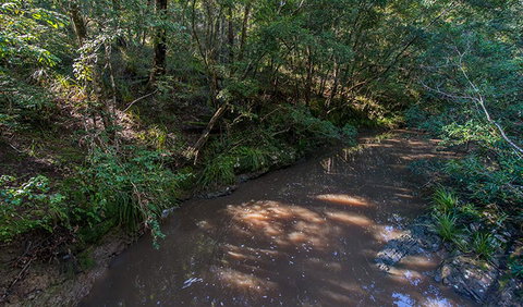 Ms Kellys Walking Track - Accommodation in Brisbane 2
