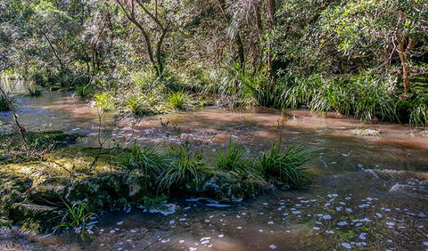 Ms Kellys Walking Track - Accommodation in Brisbane 3