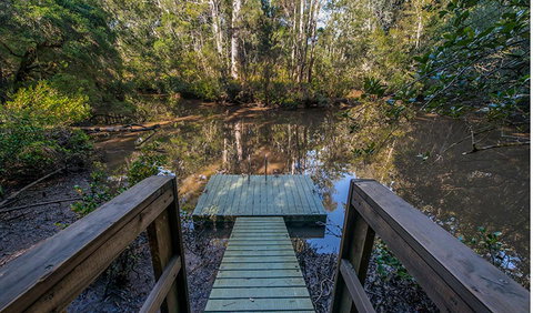 Brimbin Picnic Area - Accommodation in Brisbane 1
