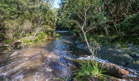 Brimbin Picnic Area - Accommodation in Brisbane 2