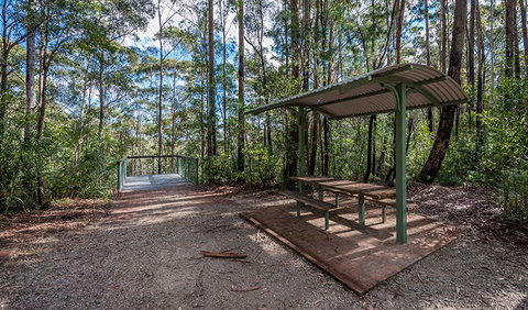 Big Nellie Lookout And Picnic Area - Accommodation in Brisbane 0