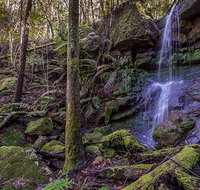 Coorabakh National Park - Accommodation in Brisbane