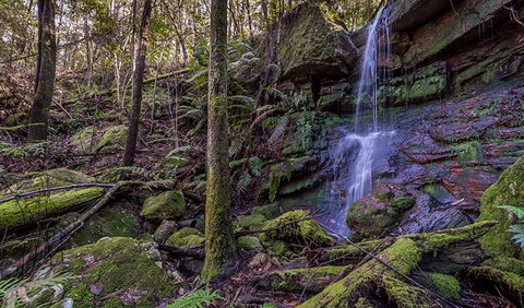 Coorabakh National Park - Accommodation in Brisbane 0