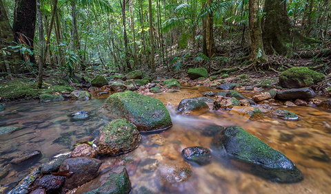 Coorabakh National Park - Accommodation in Brisbane 1