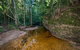 Coorabakh National Park - thumb 2