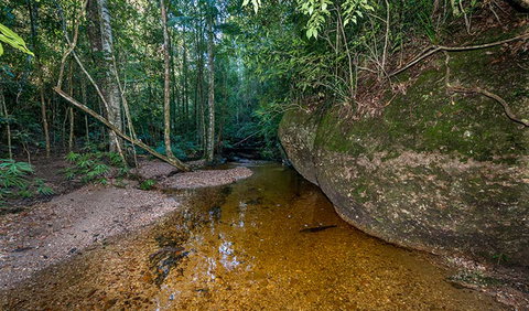 Coorabakh National Park - Accommodation in Brisbane 2