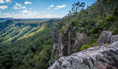 Coorabakh National Park - Accommodation in Brisbane 3