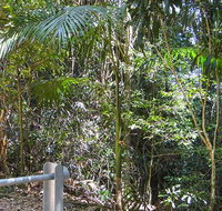 Goorgana walking track - Accommodation in Brisbane