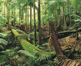 Murwillumbah NSW Accommodation in Brisbane