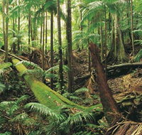 Wollumbin-Mount Warning National Park - Accommodation in Brisbane