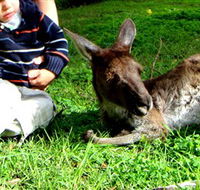 Bunbury Wildlife Park - Accommodation in Brisbane
