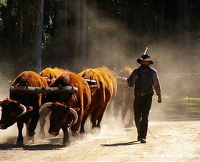 Timbertown Heritage Theme Park - Accommodation in Brisbane 1