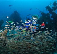 Aarhus Dive Site - Accommodation in Brisbane