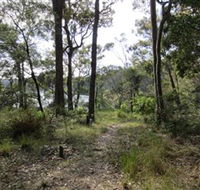 Ringlands Rotary Walk Narooma - Accommodation in Brisbane