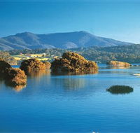 Wagonga Picnic Area - Accommodation in Brisbane