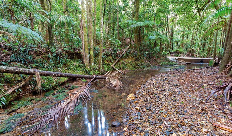 Karangi NSW Accommodation in Brisbane