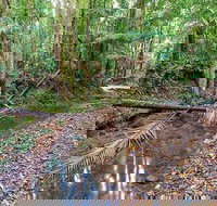 Ulidarra National Park - Accommodation in Brisbane