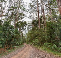 End Peak walking track - Accommodation in Brisbane