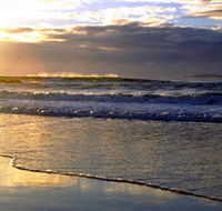 Handkerchief Beach Picnic Area - Accommodation in Brisbane
