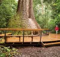 Burrawan State Forest - Accommodation in Brisbane