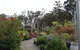 Abundance Lifestyle And Garden - thumb 6