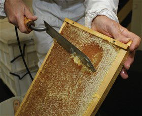 Superbee Honeyworld Gold Coast - Accommodation in Brisbane 2