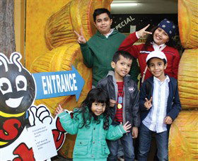 Superbee Honeyworld Gold Coast - Accommodation in Brisbane 3