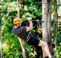 TreeTop Challenge Currumbin - Accommodation in Brisbane