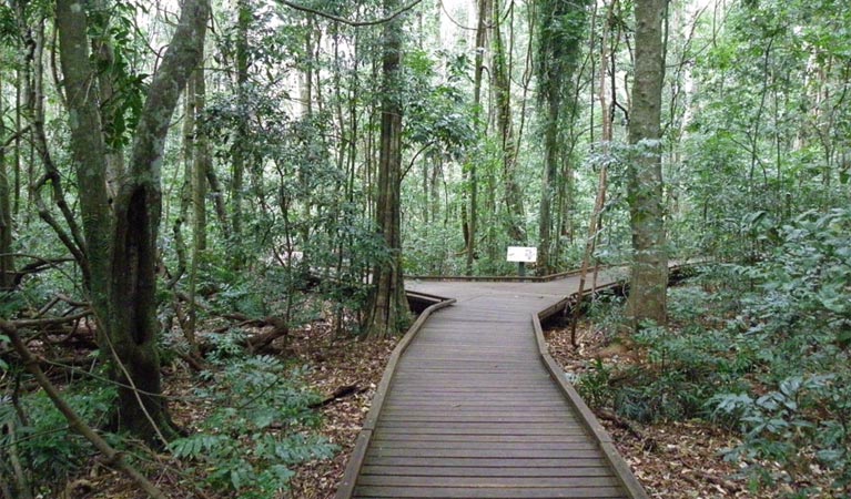 Dalwood NSW Accommodation in Brisbane