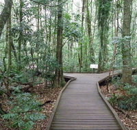 Victoria Park boardwalk - Accommodation in Brisbane