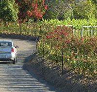 Cassegrain Wines - Accommodation in Brisbane