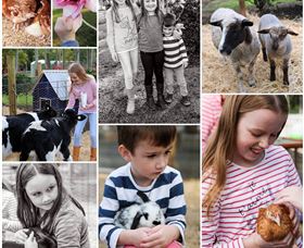 Roses Vineyard And Animal Farm - Accommodation in Brisbane 1