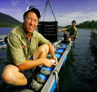 Armstrong Oysters - Accommodation in Brisbane