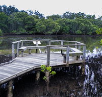 Walk on Water walking track - Accommodation in Brisbane