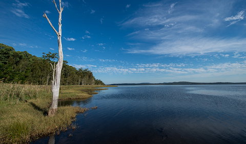 Lake Innes Nature Reserve - Accommodation in Brisbane 0
