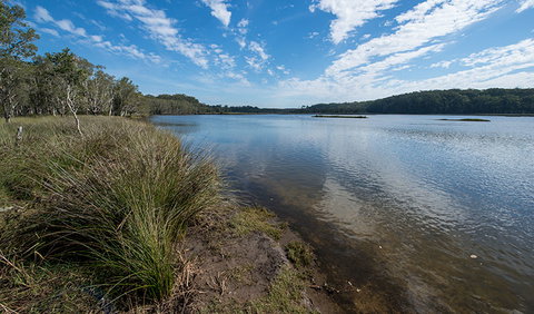 Lake Innes Nature Reserve - Accommodation in Brisbane 1