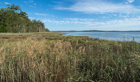 Lake Innes Nature Reserve - Accommodation in Brisbane 3