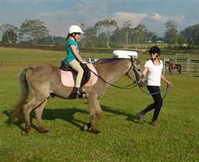 Port Macquarie Horse Riding Centre - Accommodation in Brisbane 0