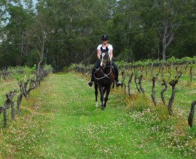 Port Macquarie Horse Riding Centre - Accommodation in Brisbane 1