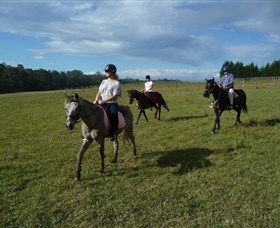 Port Macquarie Horse Riding Centre - Accommodation in Brisbane 5