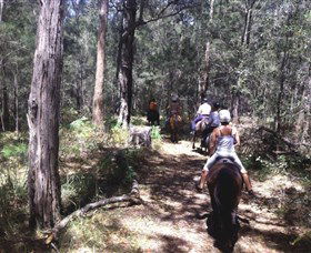 Port Macquarie Horse Riding Centre - Accommodation in Brisbane 4