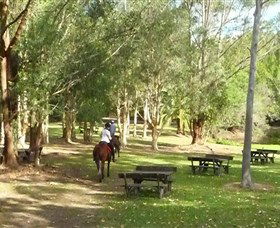 Port Macquarie Horse Riding Centre - Accommodation in Brisbane 6