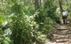 Bridle Trail - thumb 0