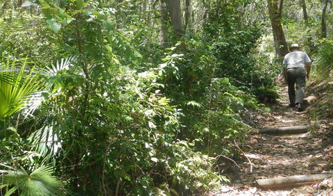 Bridle Trail - Accommodation in Brisbane 0