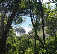 Rainforest walking track - Accommodation in Brisbane