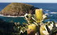 Green Island Walking Track - thumb 0