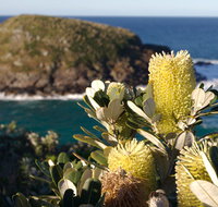 Green Island walking track - Accommodation in Brisbane