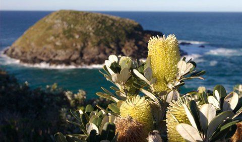 Green Island Walking Track - Accommodation in Brisbane 0